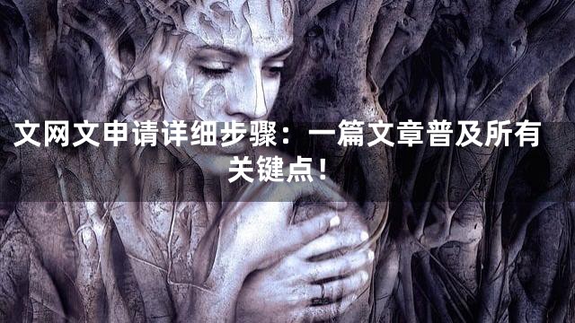 文网文申请详细步骤：一篇文章普及所有关键点！