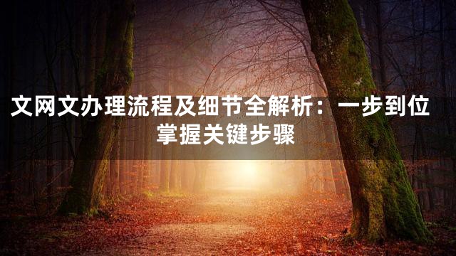 文网文办理流程及细节全解析：一步到位掌握关键步骤