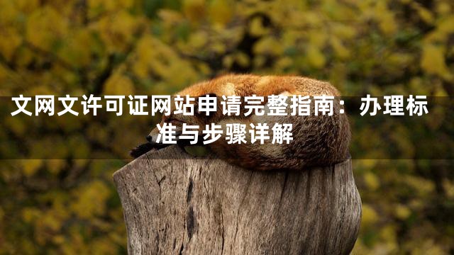 文网文许可证网站申请完整指南：办理标准与步骤详解