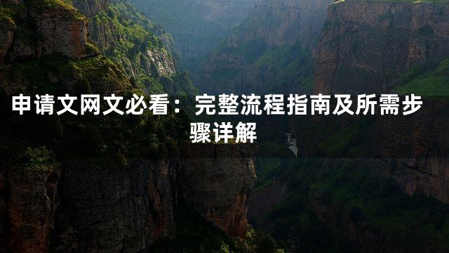 申请文网文必看：完整流程指南及所需步骤详解