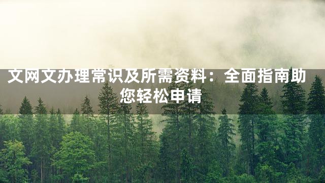 文网文办理常识及所需资料：全面指南助您轻松申请