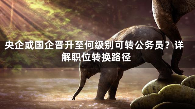 央企或国企晋升至何级别可转公务员？详解职位转换路径