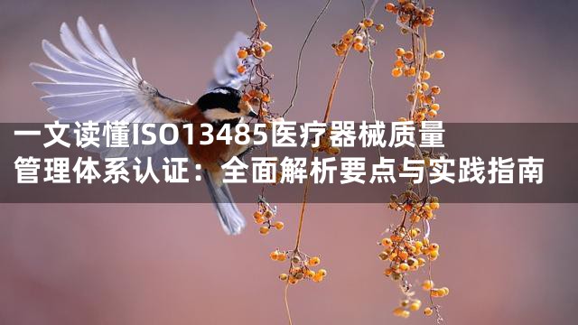 一文读懂ISO13485医疗器械质量管理体系认证：全面解析要点与实践指南