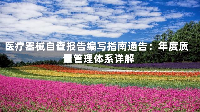 医疗器械自查报告编写指南通告：年度质量管理体系详解