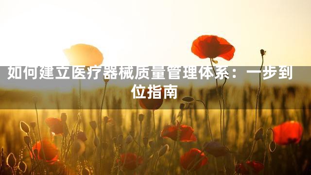 如何建立医疗器械质量管理体系：一步到位指南