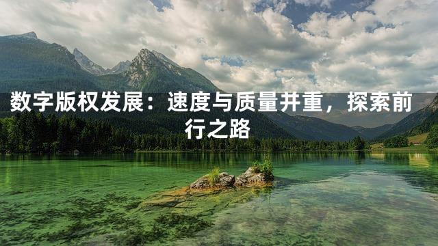 数字版权发展：速度与质量并重，探索前行之路