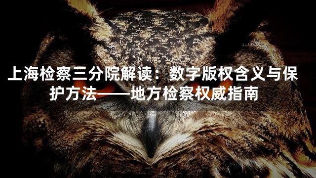 上海检察三分院解读：数字版权含义与保护方法——地方检察权威指南