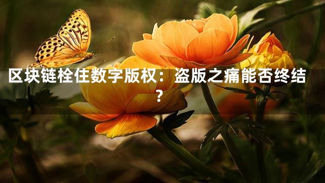 区块链栓住数字版权：盗版之痛能否终结？