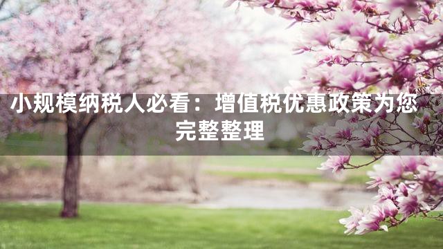 小规模纳税人必看：增值税优惠政策为您完整整理