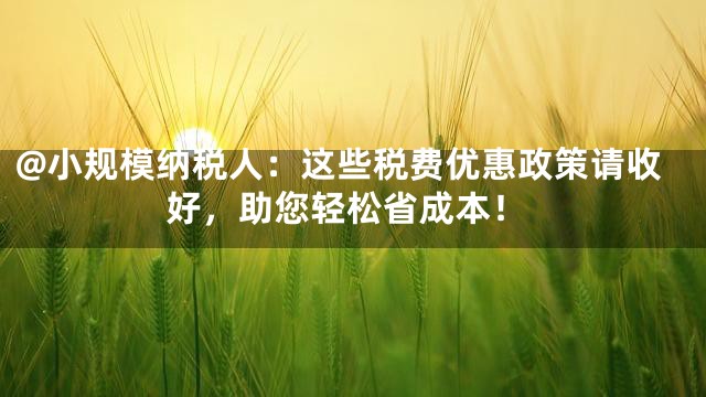 @小规模纳税人：这些税费优惠政策请收好，助您轻松省成本！