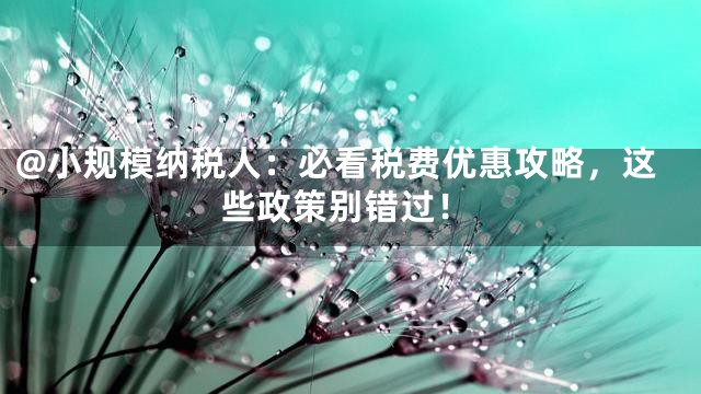 @小规模纳税人：必看税费优惠攻略，这些政策别错过！