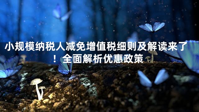 小规模纳税人减免增值税细则及解读来了！全面解析优惠政策