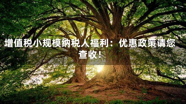 增值税小规模纳税人福利：优惠政策请您查收！