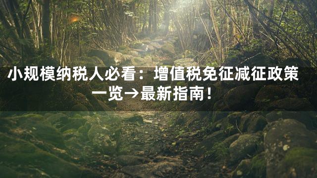 小规模纳税人必看：增值税免征减征政策一览→最新指南！