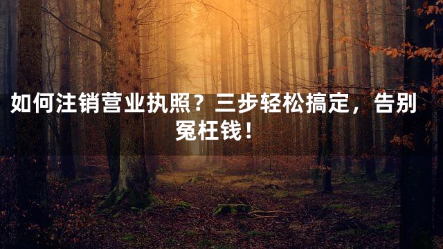 如何注销营业执照？三步轻松搞定，告别冤枉钱！