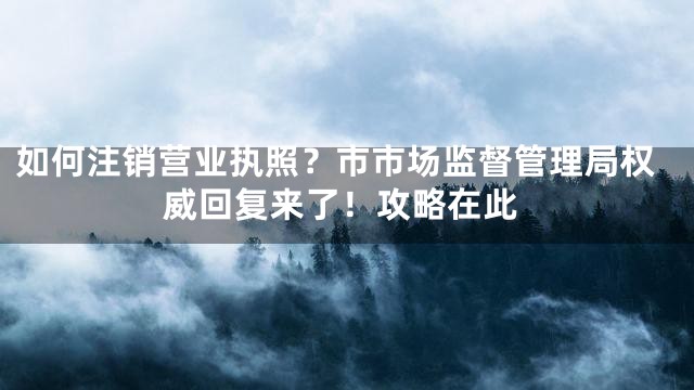如何注销营业执照？市市场监督管理局权威回复来了！攻略在此