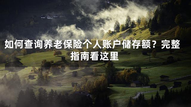 如何查询养老保险个人账户储存额？完整指南看这里
