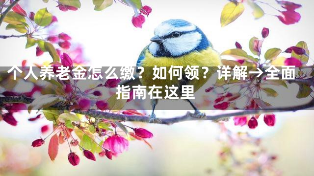 个人养老金怎么缴？如何领？详解→全面指南在这里