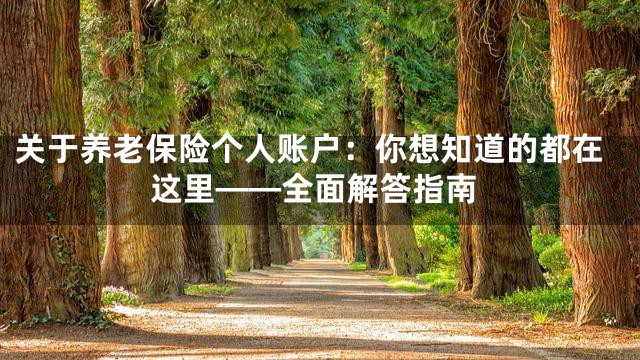 关于养老保险个人账户：你想知道的都在这里——全面解答指南