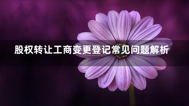 股权转让工商变更登记常见问题解析