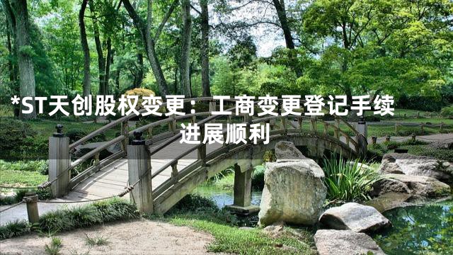 *ST天创股权变更：工商变更登记手续进展顺利