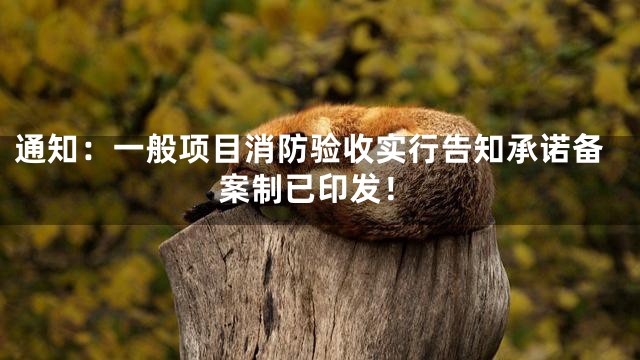 通知：一般项目消防验收实行告知承诺备案制已印发！