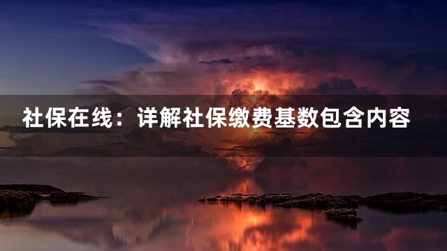 社保在线：详解社保缴费基数包含内容