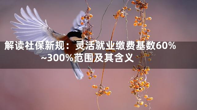 解读社保新规：灵活就业缴费基数60%~300%范围及其含义