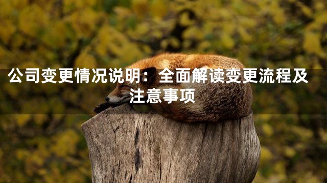 公司变更情况说明：全面解读变更流程及注意事项