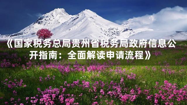 《国家税务总局贵州省税务局政府信息公开指南：全面解读申请流程》
