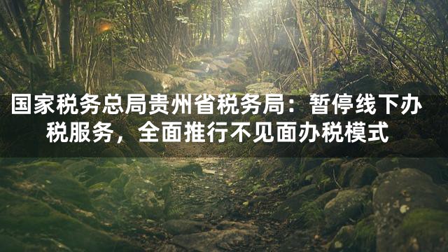 国家税务总局贵州省税务局：暂停线下办税服务，全面推行不见面办税模式