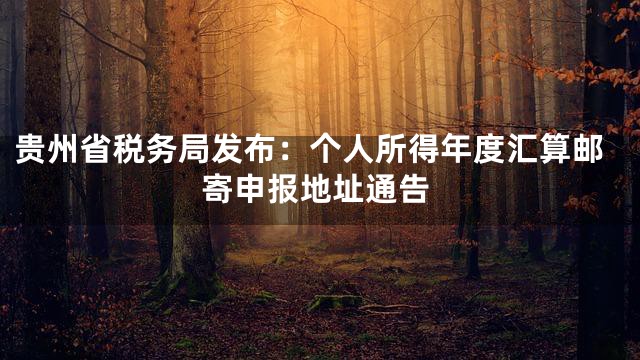 贵州省税务局发布：个人所得年度汇算邮寄申报地址通告