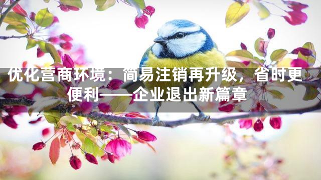 优化营商环境：简易注销再升级，省时更便利——企业退出新篇章