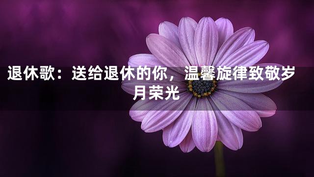 退休歌：送给退休的你，温馨旋律致敬岁月荣光