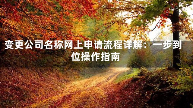 变更公司名称网上申请流程详解：一步到位操作指南