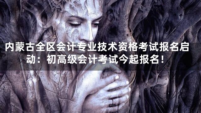 内蒙古全区会计专业技术资格考试报名启动：初高级会计考试今起报名！