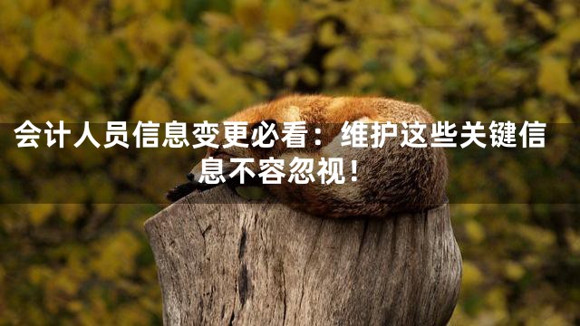 会计人员信息变更必看：维护这些关键信息不容忽视！