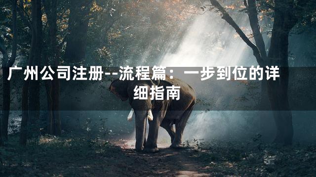 广州公司注册--流程篇：一步到位的详细指南