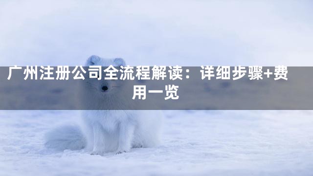 广州注册公司全流程解读：详细步骤+费用一览