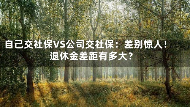 自己交社保VS公司交社保：差别惊人！退休金差距有多大？