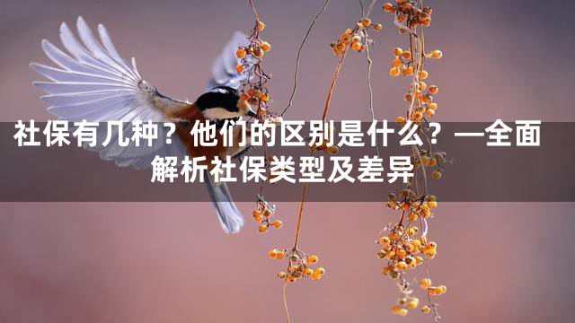 社保有几种？他们的区别是什么？—全面解析社保类型及差异