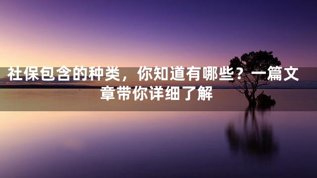 社保包含的种类，你知道有哪些？一篇文章带你详细了解
