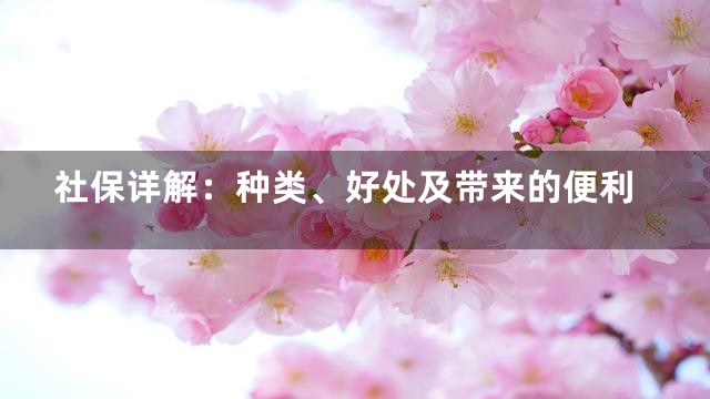 社保详解：种类、好处及带来的便利