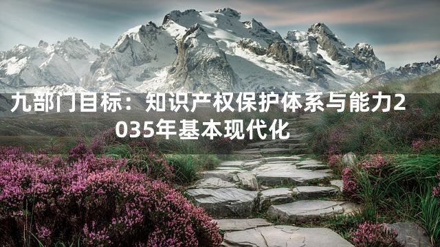 九部门目标：知识产权保护体系与能力2035年基本现代化
