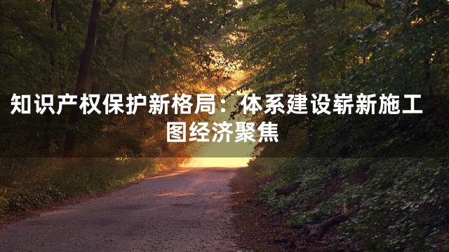 知识产权保护新格局：体系建设崭新施工图经济聚焦