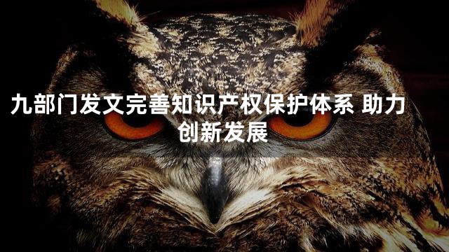 九部门发文完善知识产权保护体系 助力创新发展