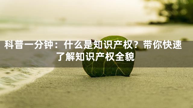 科普一分钟：什么是知识产权？带你快速了解知识产权全貌