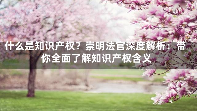 什么是知识产权？崇明法官深度解析：带你全面了解知识产权含义