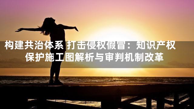 构建共治体系 打击侵权假冒：知识产权保护施工图解析与审判机制改革