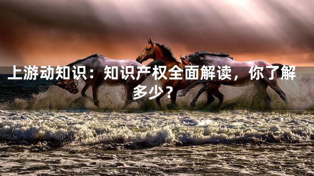 上游动知识：知识产权全面解读，你了解多少？
